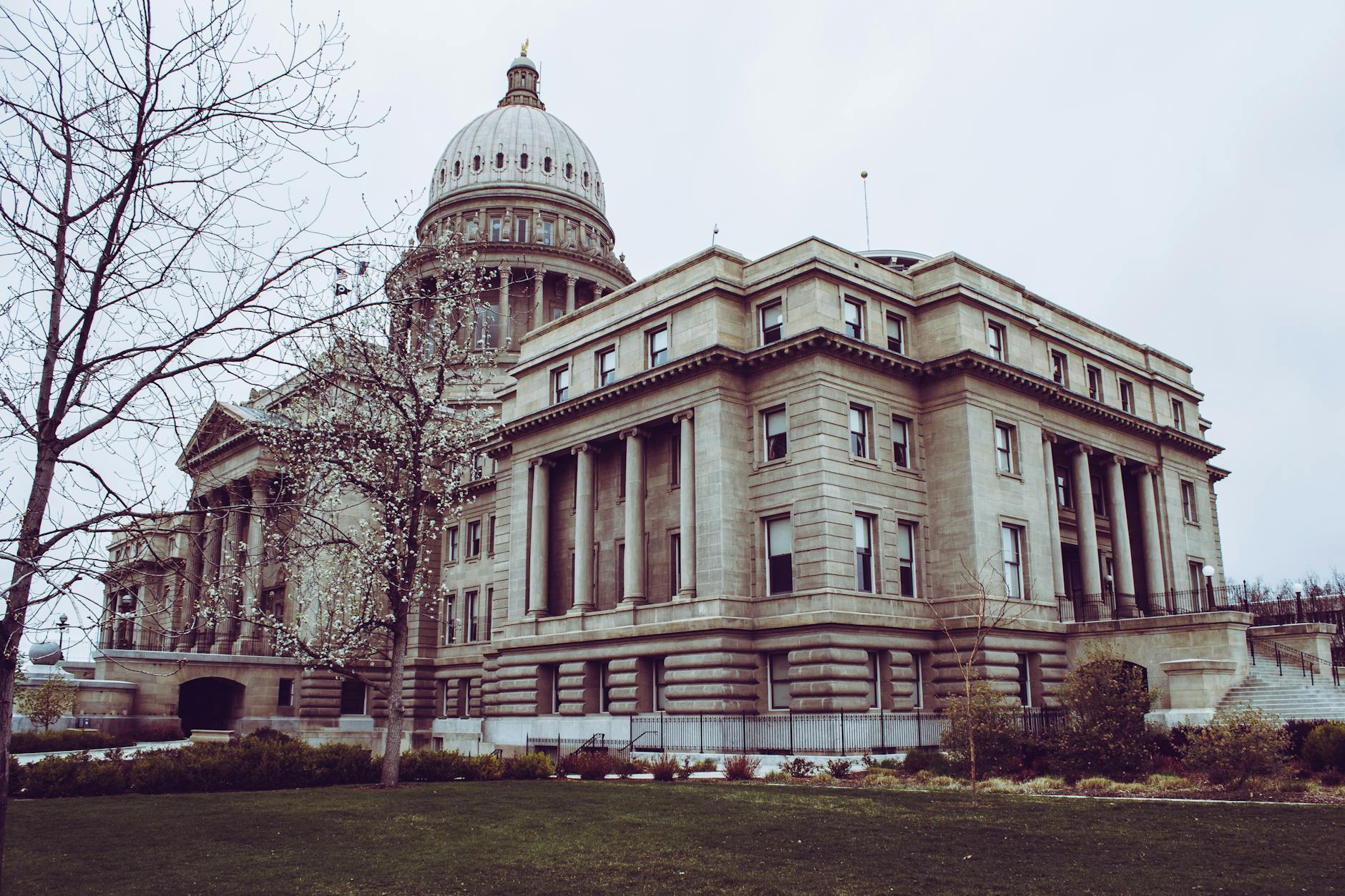 low angle photography of building