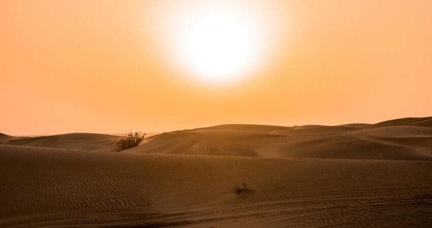 desert under yellow sunset