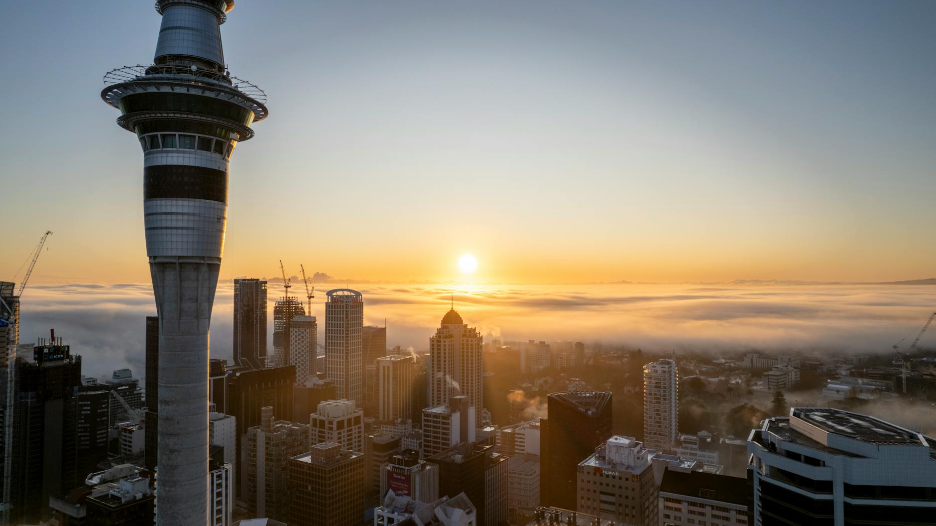 downtown of auckland at foggy sunrise