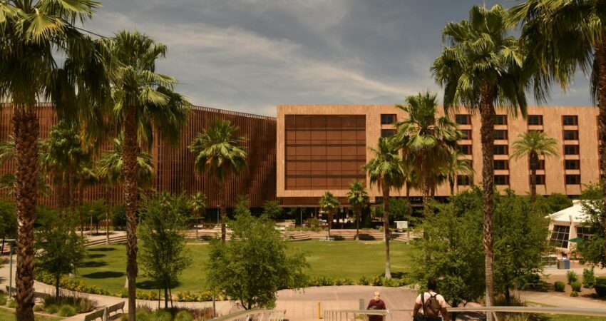 palm trees on square in arizona state university