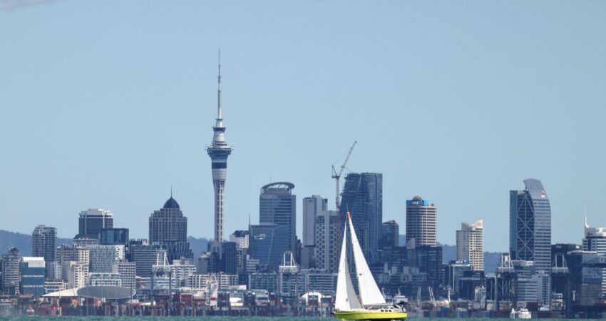 yellow sailboat in auckland