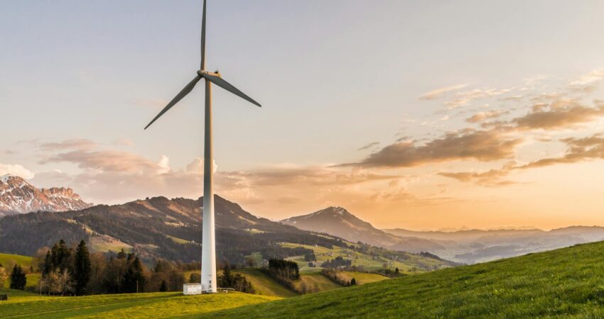 white windmill