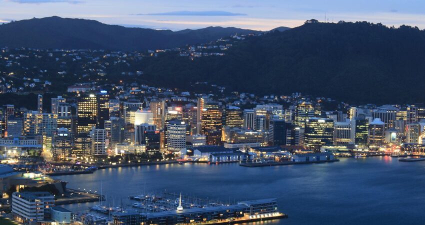 wellington cityscape at dusk