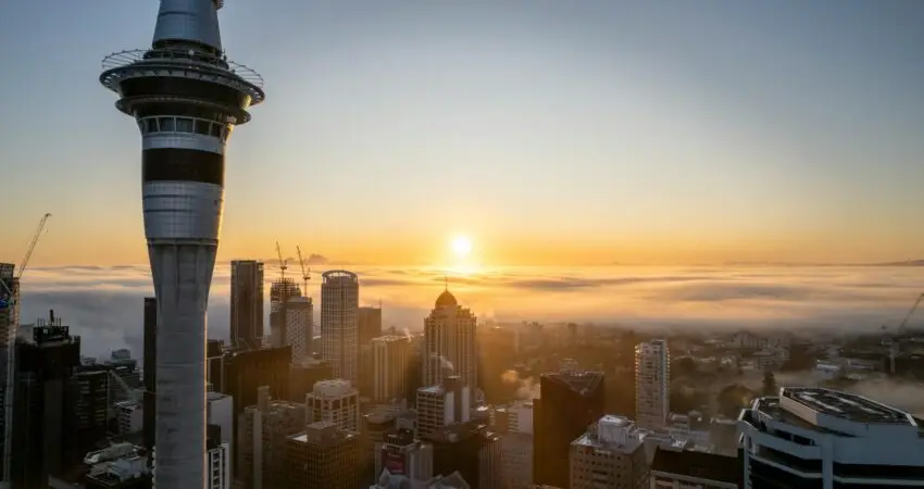 downtown of auckland at foggy sunrise